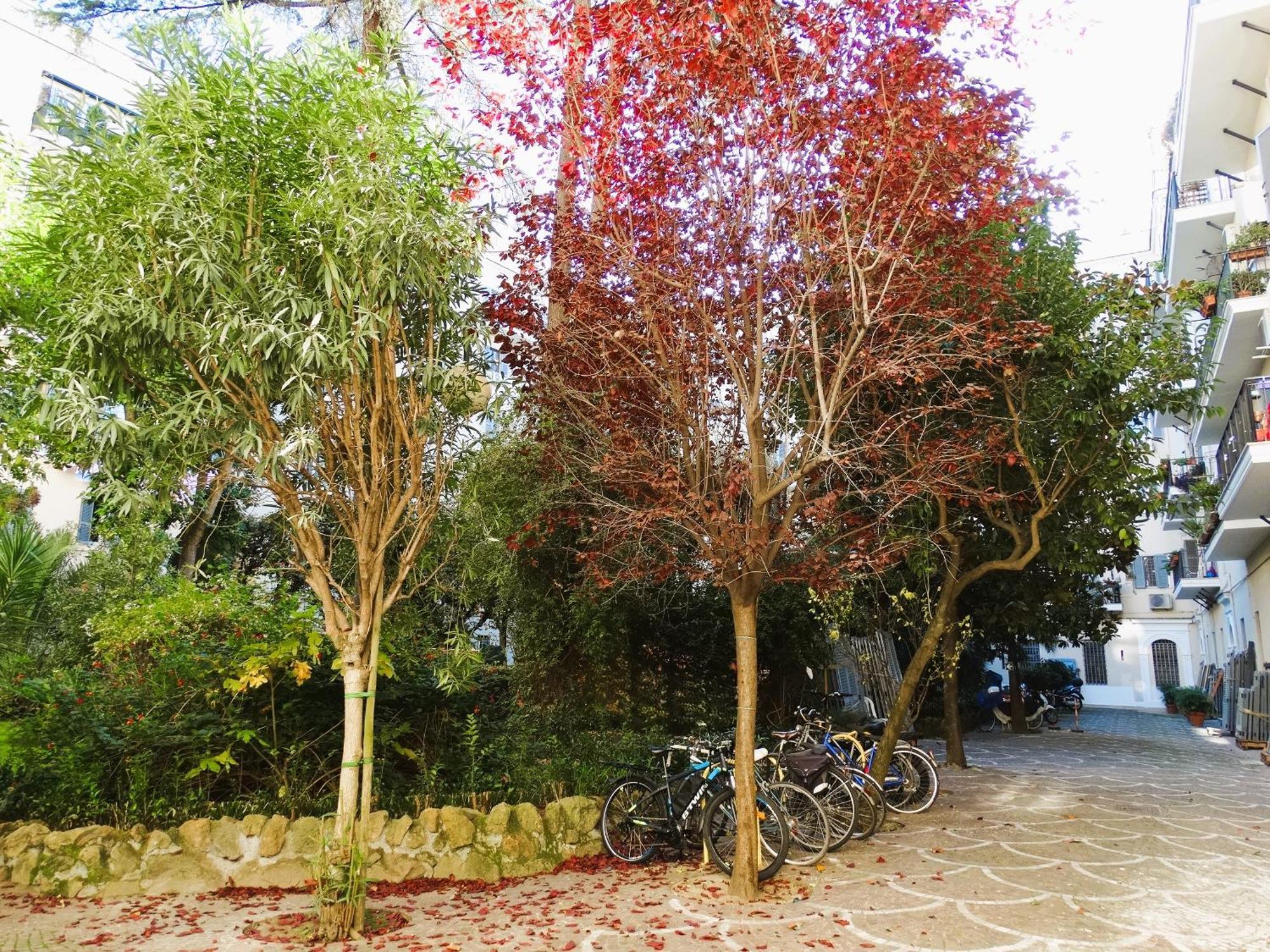 Domus Dino Apartamento Roma Exterior foto